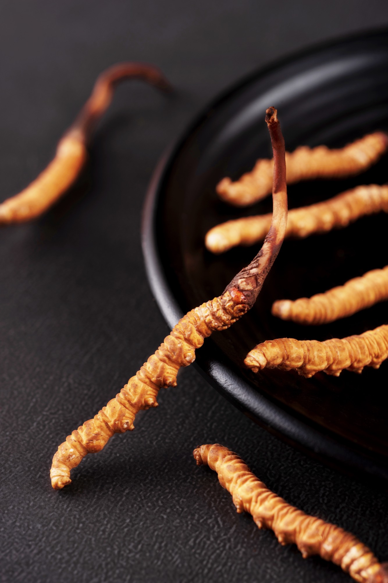 commercial photography 2