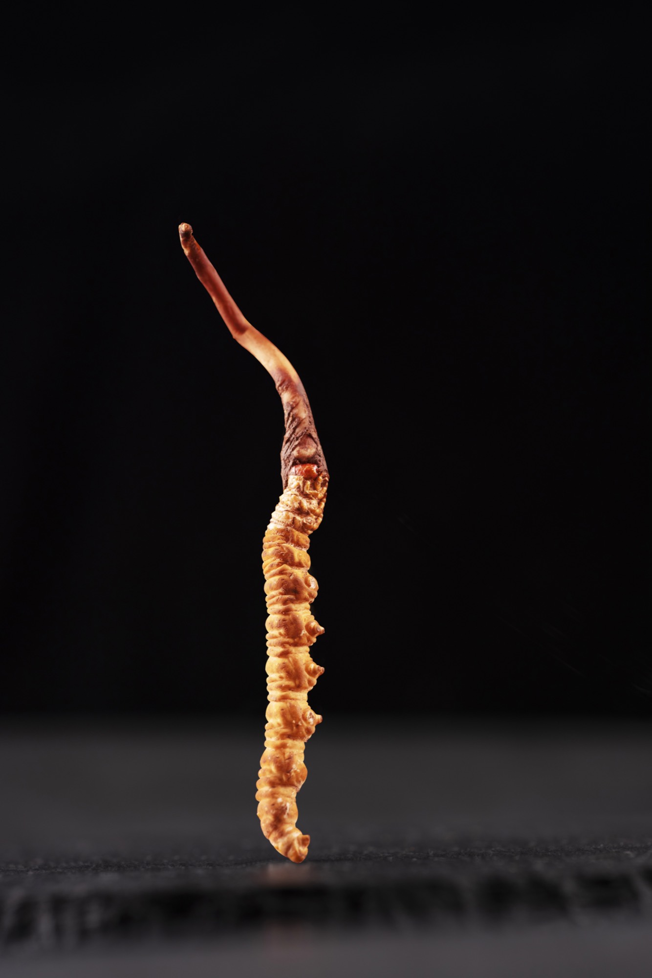 FX Studio Photography 4