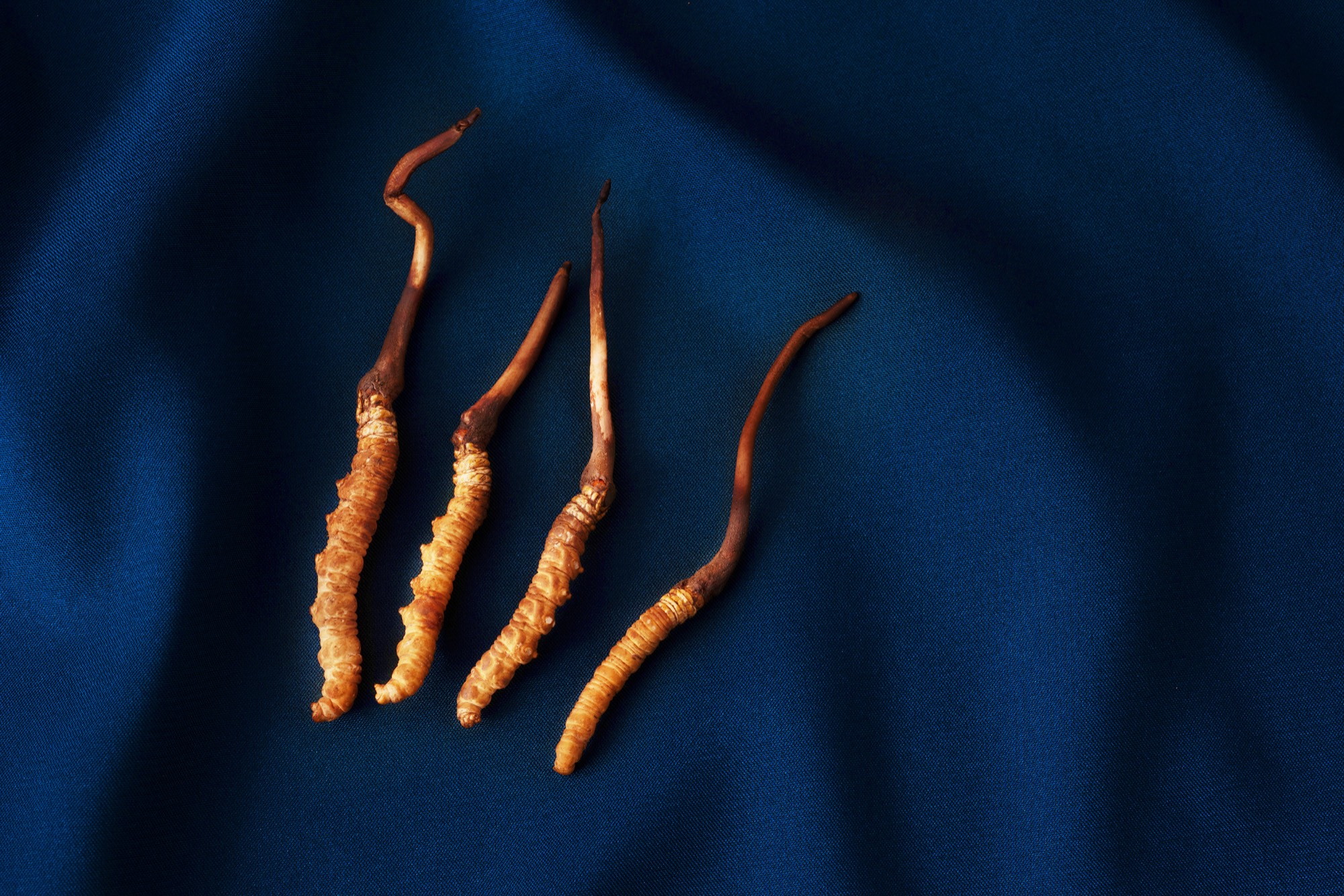 commercial photography 30