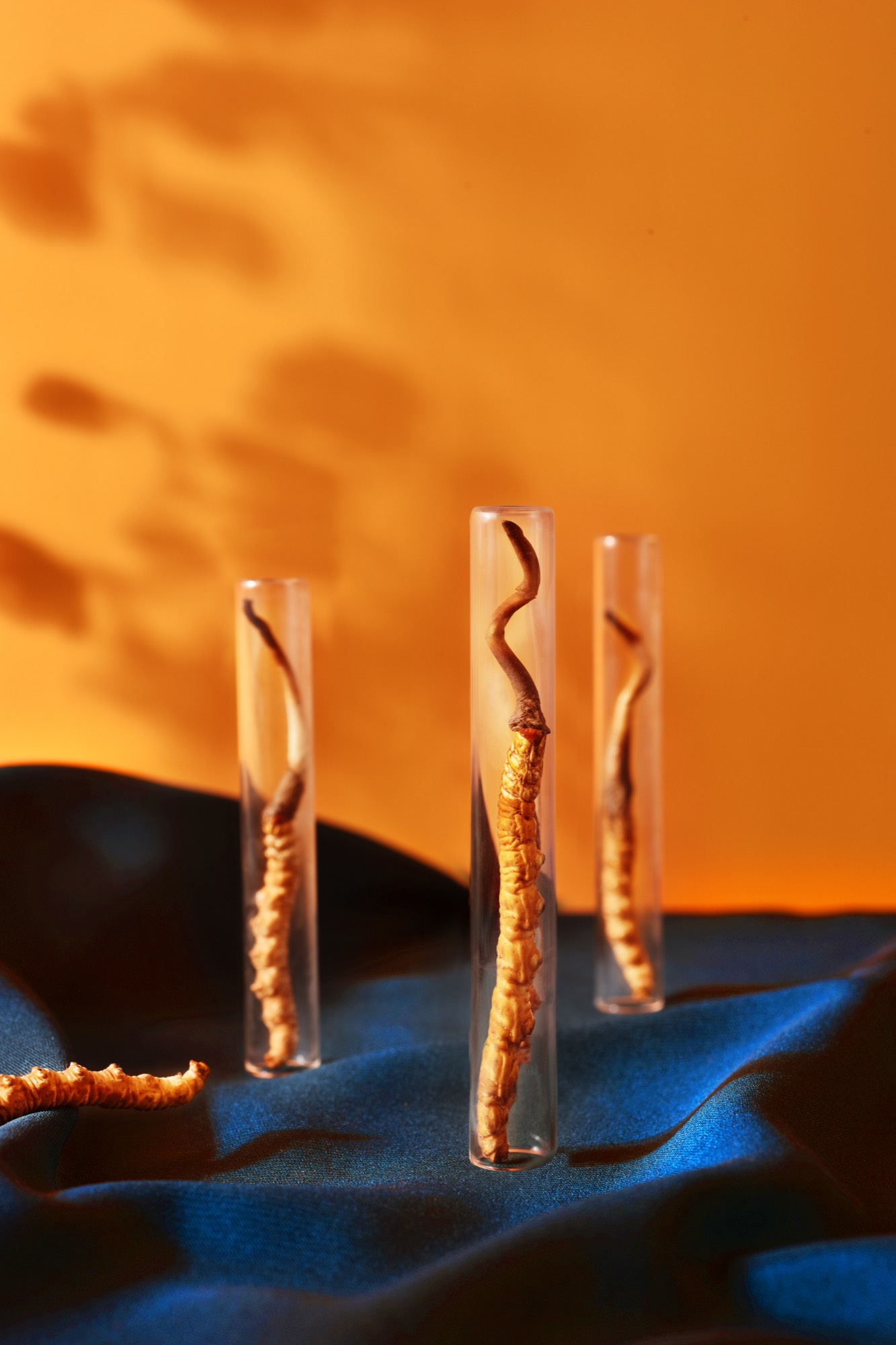 commercial photography 34